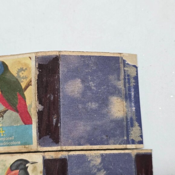 Vintage Bird Illustration Safety Matches Box Oranje Troepiaal, Indische Nonparei - Picture 5 of 6